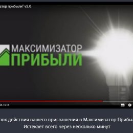 Максимизатор Прибыли v 3.0 [Лохотрон]- Фролов Алексей